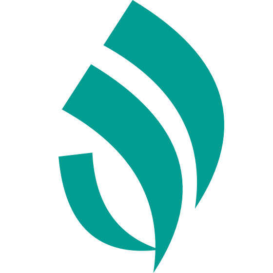 Vaishali Securities Limited Logo